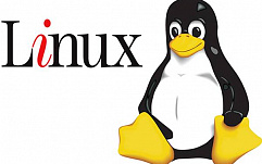 IDC: Продажи Linux растут, несмотря на кризис