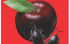 X-Force: Mac Os X - самая уязвимая ОС