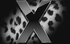 Специалисты по безопасности разочаровались в Mac OS X Leopard