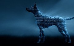 article-title